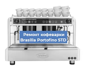 Замена прокладок на кофемашине Brasilia Portofino STD в Новосибирске